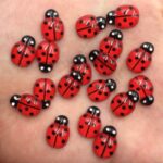 60pcs of these Cute Red Lady Bugs