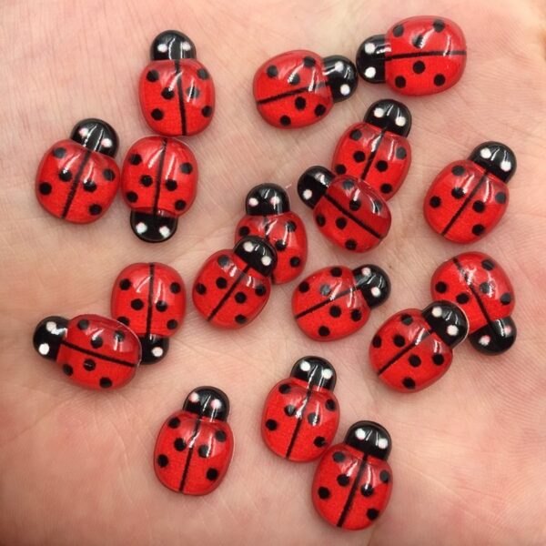 60pcs of these Cute Red Lady Bugs