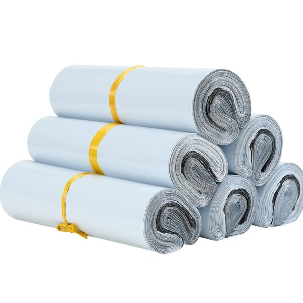 Plastic Express Envelope